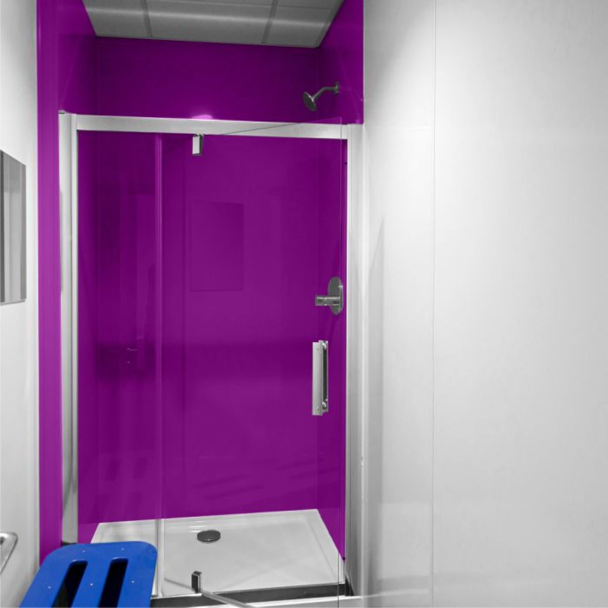 2.5mm Hygienic Wall Cladding - Plum Gloss
