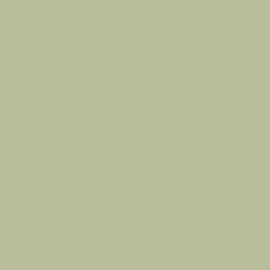 2.5mm Hygienic Wall Cladding - Avocado Gloss