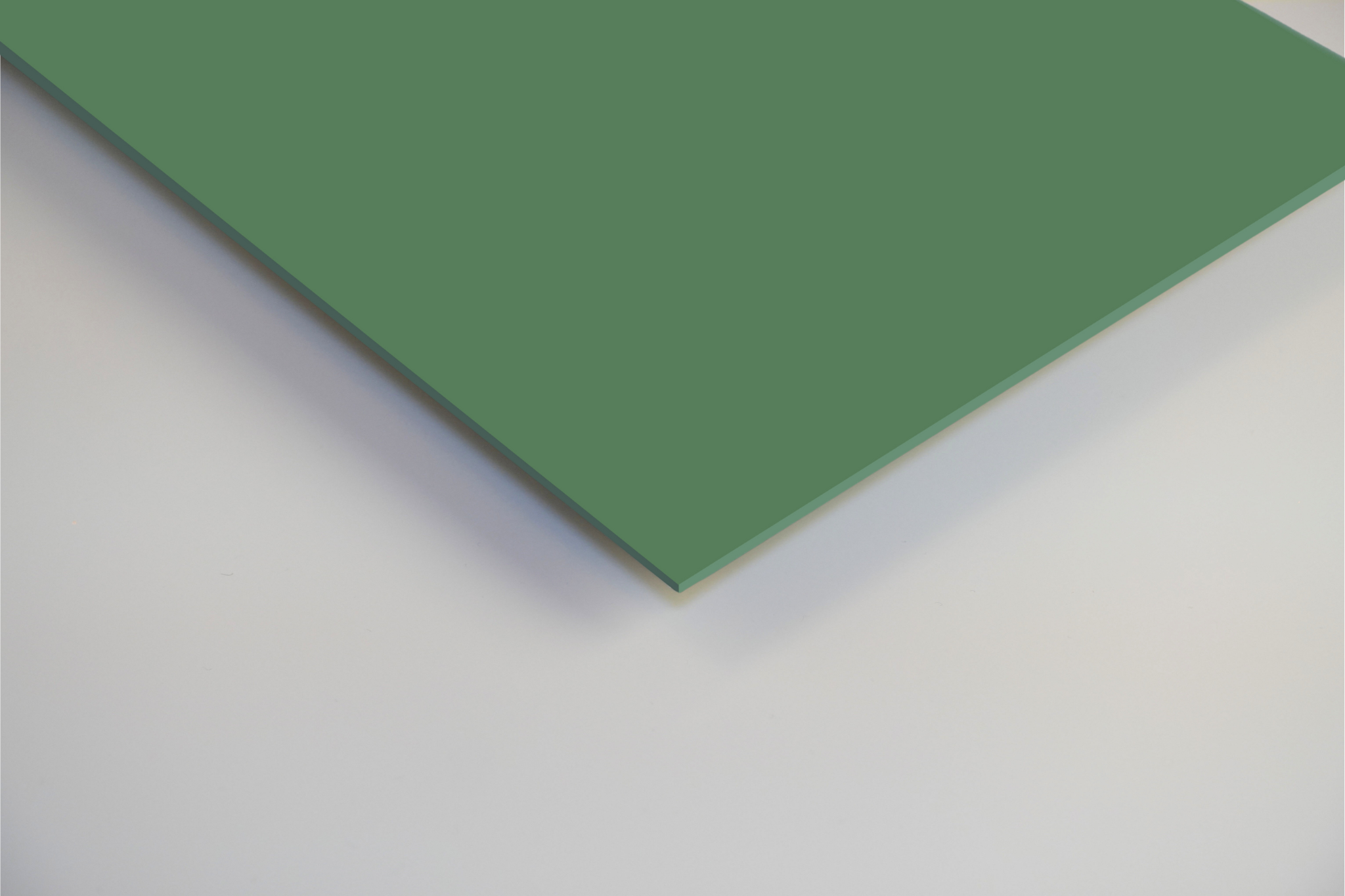 2.5mm Hygienic Wall Cladding - Forest Satin