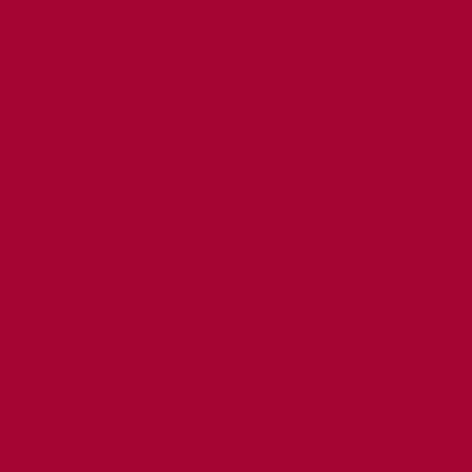 2.5mm Hygienic Wall Cladding - Ruby Gloss